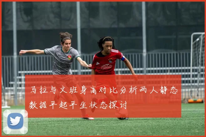 马拉与文班身高对比分析两人静态数据平起平坐状态探讨